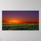 Galaktische Ernte Poster (Vorne)