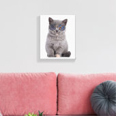 Galaktischer Blick auf die Stellar Kitty in Sonnen Leinwanddruck (Insitu (Wohnzimmer))