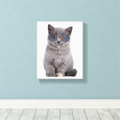 Galaktischer Blick auf die Stellar Kitty in Sonnen Leinwanddruck (Insitu (Holzboden))