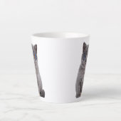 Galaktischer Blick auf die Stellar Kitty in Sonnen Milchtasse (Vorderseite)