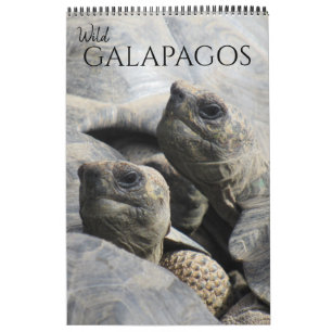 Galapagos 2025 kalender