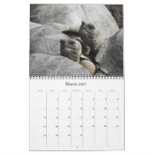 Galapagos 2025 kalender (Mär 2027)