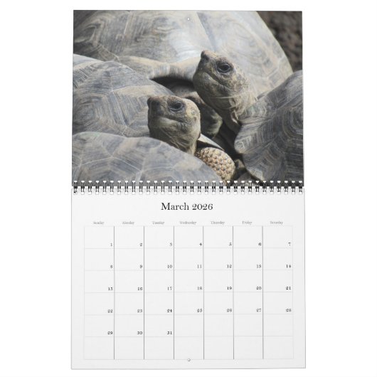 Galapagos 2025 kalender (Mär 2026)