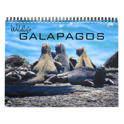 Galapagos 2025 kalender (Titelbild)