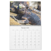 Galapagos 2025 kalender (Jan 2026)