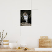 Galapagos Barn Owl Poster (Küche)