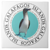 Galapagos Blauffüßiger Vogel Fliese (Vorderseite)
