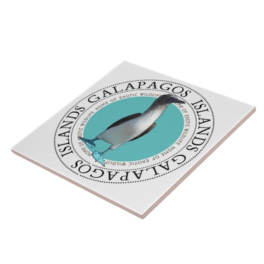 Galapagos Blauffüßiger Vogel Fliese (Seite)