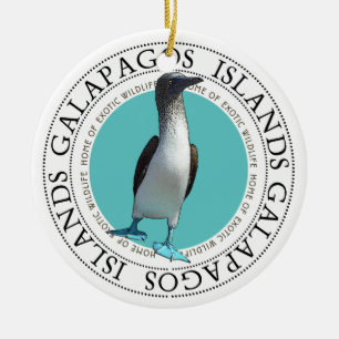 Galapagos Blue Footed Booby Keramik Ornament