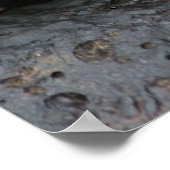 Galapagos Crab Poster (Ecke)