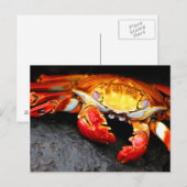 Galapagos Crab Postkarte (Vorne/Hinten)