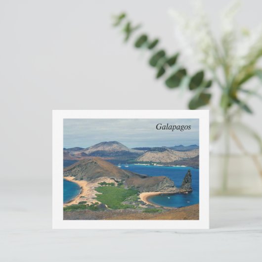 Galapagos - Ecuador Postkarte (Stehend Vorderseite)