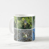 Galápagos Flycatcher Kaffeetasse (Vorderseite Links)
