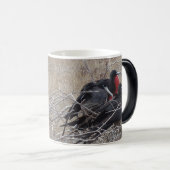 Galapagos-Fregatte-Vögel Verwandlungstasse (VorderseiteRechts)