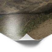 Galapagos Giant Tortoise Geochelone Fotodruck (Ecke)