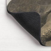 Galapagos Giant Tortoise Geochelone Mousepad (Ecke)