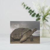 Galapagos Giant Tortoise Geochelone Postkarte (Stehend Vorderseite)