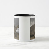 Galapagos Giant Tortoise Geochelone Tasse (Zentrum)