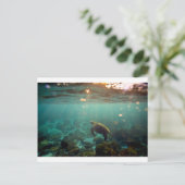 Galapagos-grüne Lagune Meeresschildkröte unter Was Postkarte (Stehend Vorderseite)