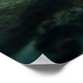 Galapagos Grüne Meeresschildkröte: Unterwassernähe Poster (Ecke)