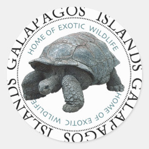 Galapagos-Insel-Schildkröte Runder Aufkleber