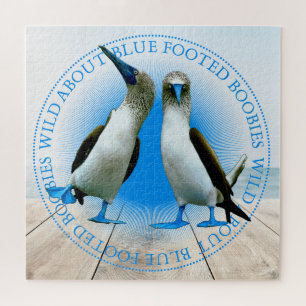 Galapagos-Inseln Blaufüßige Booby-Vögel Puzzle