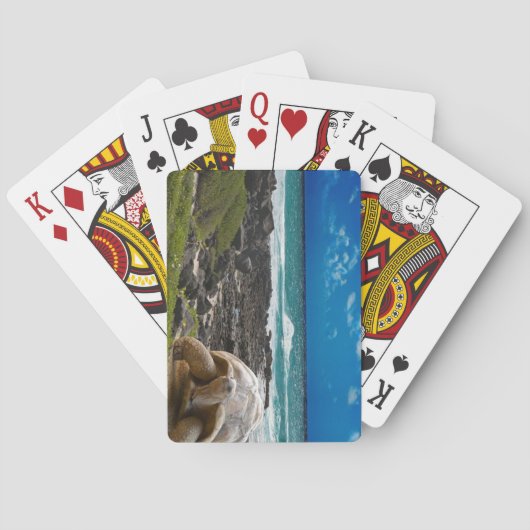 Galapagos-Inseln, Ecuador Spielkarten (Rückseite)
