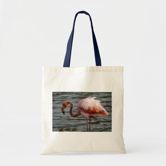 Galapagos Inseln Flamingo Tragetasche (Vorne)