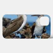 Galapagos-Inseln, Isabela-Insel Case-Mate iPhone Hülle (Rückseite (Horizontal))