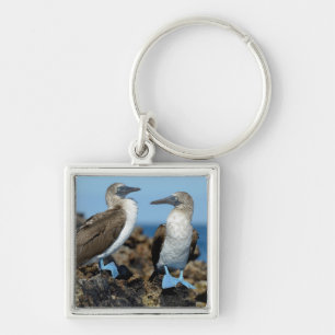 Galapagos-Inseln, Isabela-Insel Schlüsselanhänger