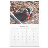 Galapagos-Inseln Kalender (Feb 2027)