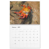 Galápagos-Inseln Kalender (Feb 2027)