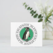 Galapagos-Inseln Pinguin Postkarte (Stehend Vorderseite)