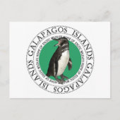 Galapagos-Inseln Pinguin Postkarte (Vorderseite)