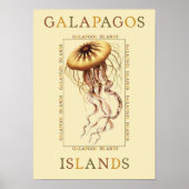 Galapagos-Inseln Poster (Vorne)