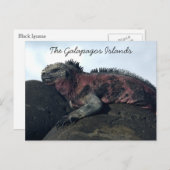 Galapagos-Inseln Postkarte (Vorne/Hinten)