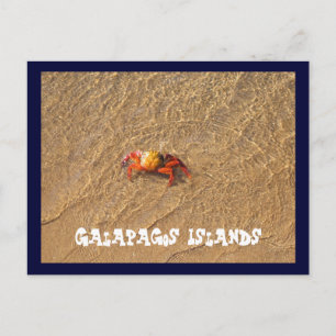 Galapagos-Inseln Postkarte