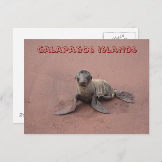 Galapagos-Inseln Postkarte (Vorne/Hinten)