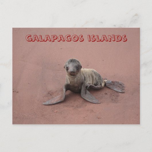 Galapagos-Inseln Postkarte (Vorderseite)