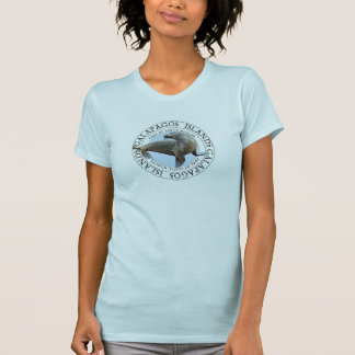 Galapagos Inseln Sea Lion T-Shirt