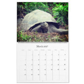 Galapagos Inseln Tiere 2025 groß Kalender (Mär 2027)