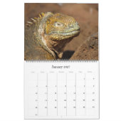 Galapagos Inseln Tiere 2025 groß Kalender (Jan 2027)