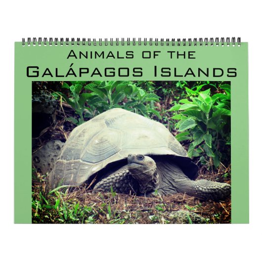 Galapagos Inseln Tiere 2025 groß Kalender (Titelbild)