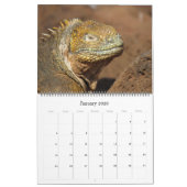 Galapagos Inseln Tiere 2025 groß Kalender (Jan 2026)