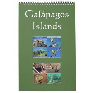 Galapagos-Inseln Tierwelt Kalender