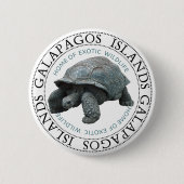 Galapagos Inseln Tortoise Button (Vorderseite)