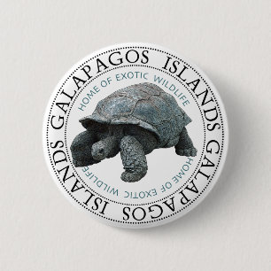 Galapagos Inseln Tortoise Button