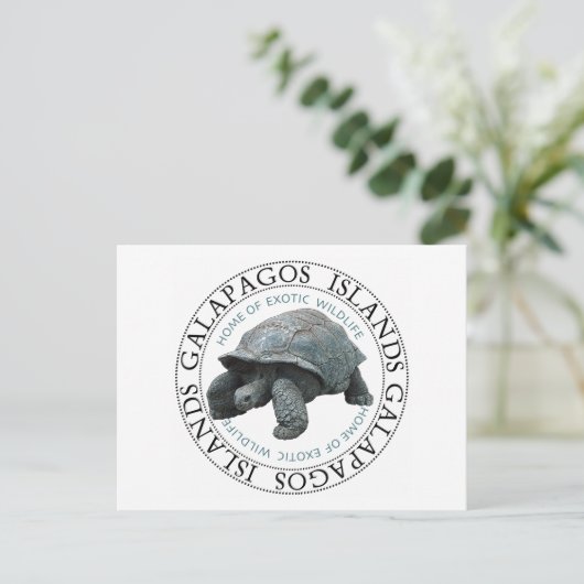 Galapagos Inseln Tortoise Postkarte (Stehend Vorderseite)