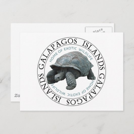 Galapagos Inseln Tortoise Postkarte (Vorne/Hinten)