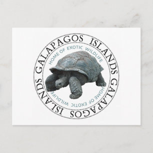 Galapagos Inseln Tortoise Postkarte